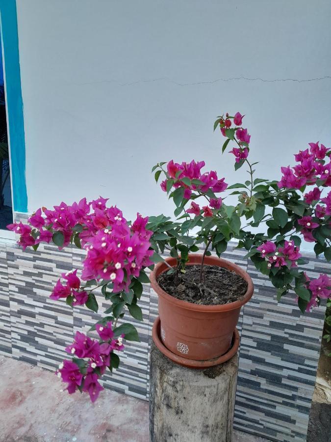 Hotel Playa Mag Coveñas Zewnętrze zdjęcie